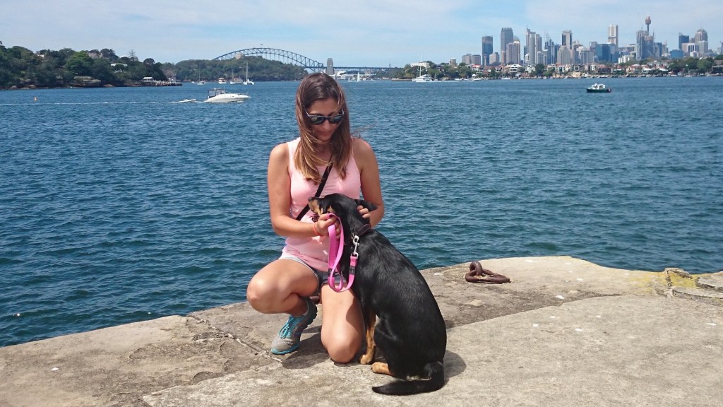 sydney harbour, kelpie, bea labady